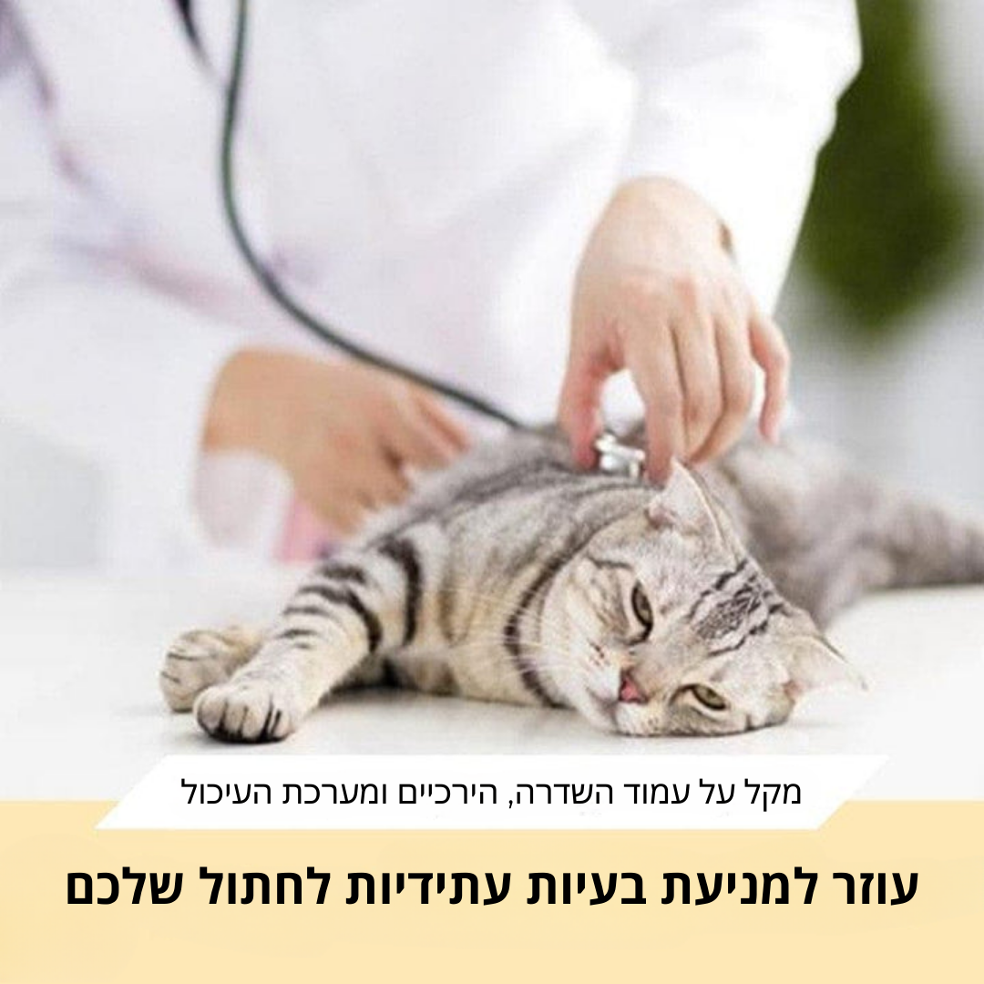 קערות אוכל אורתופדיות - Patent Prime